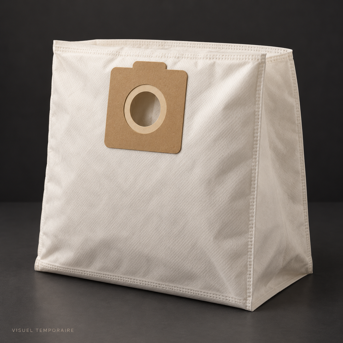 Visuel illustratif temporaire généré — sacs D'aspirateur 42L